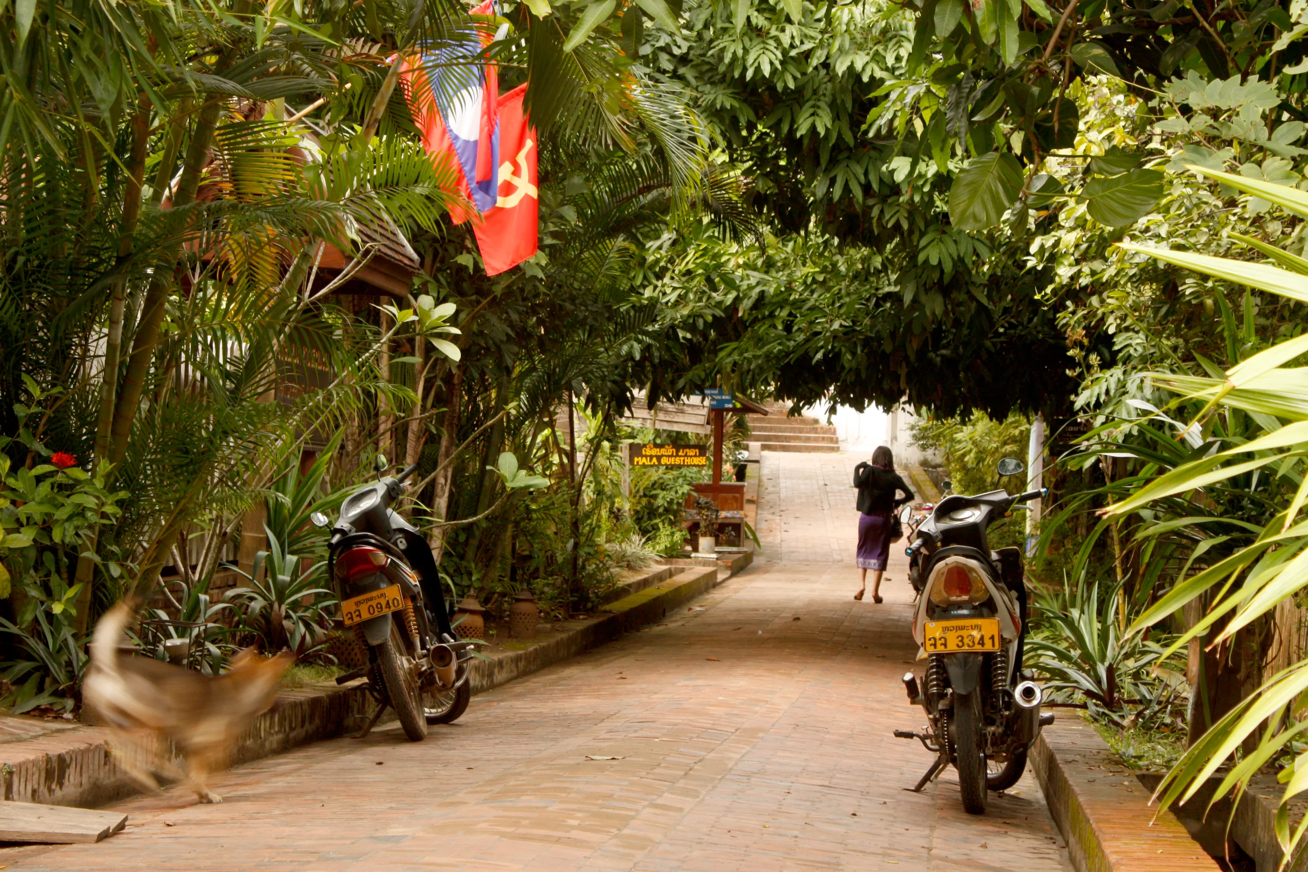 Luang Prabang je t'aime