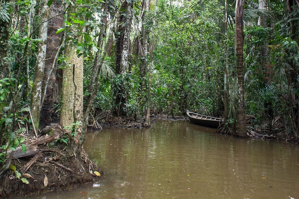 Madre de Dios & The Lake Sandoval