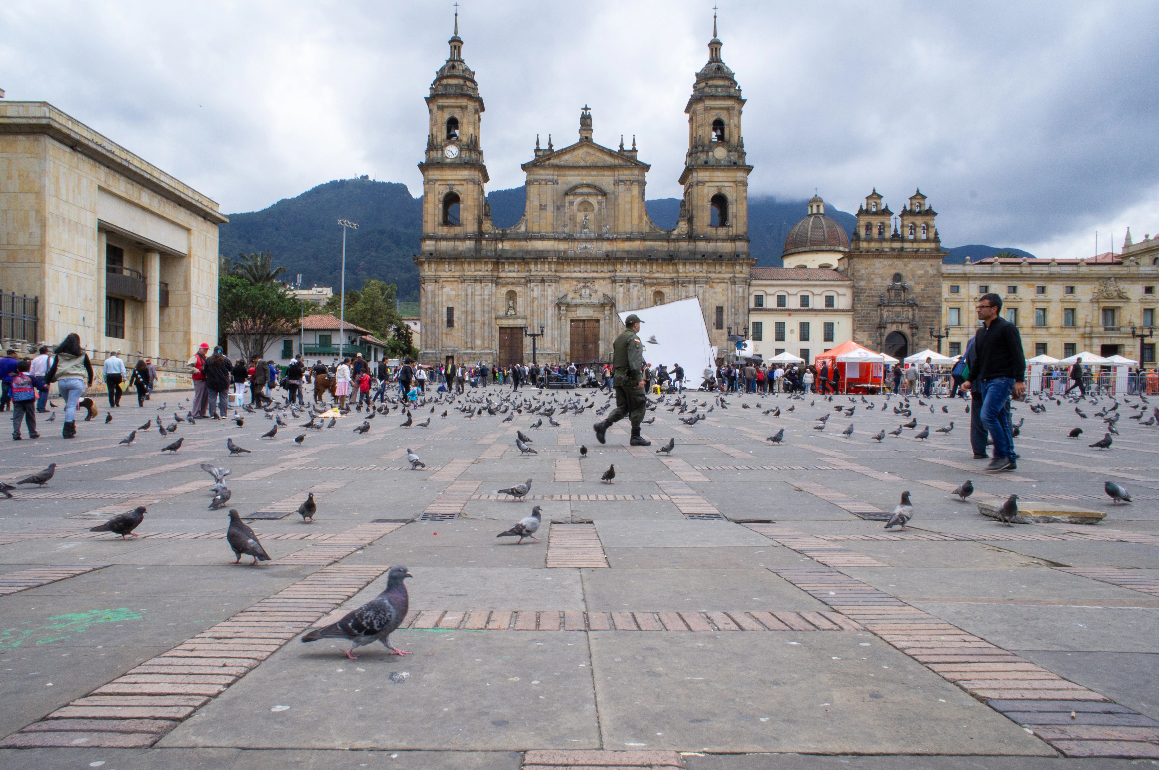 Hundreds, if not thousands of pigeons, swirl across the crowds looking for food.