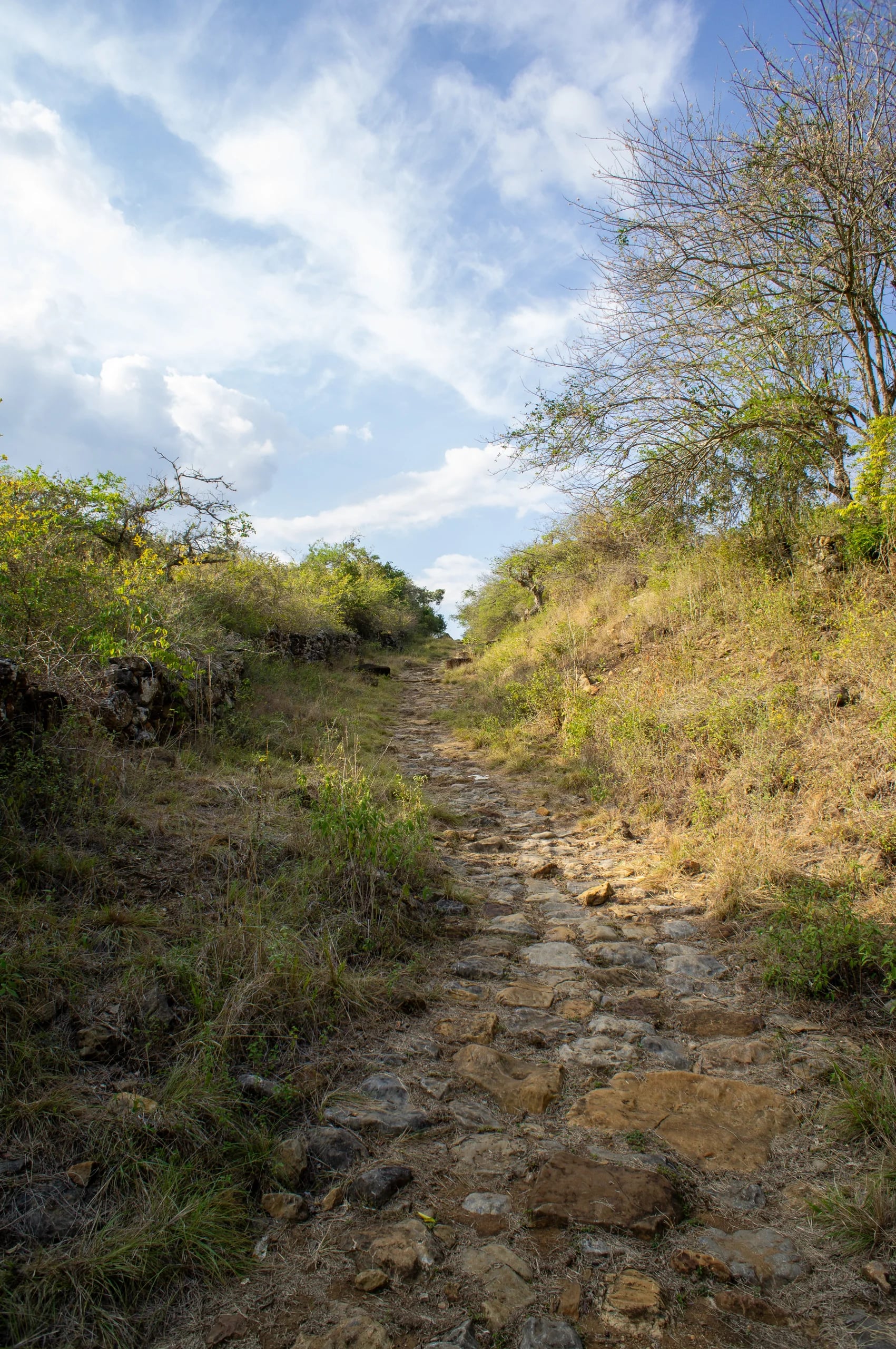 The stone-laid Camino Real climbing through dry scrub under a wide blue sky