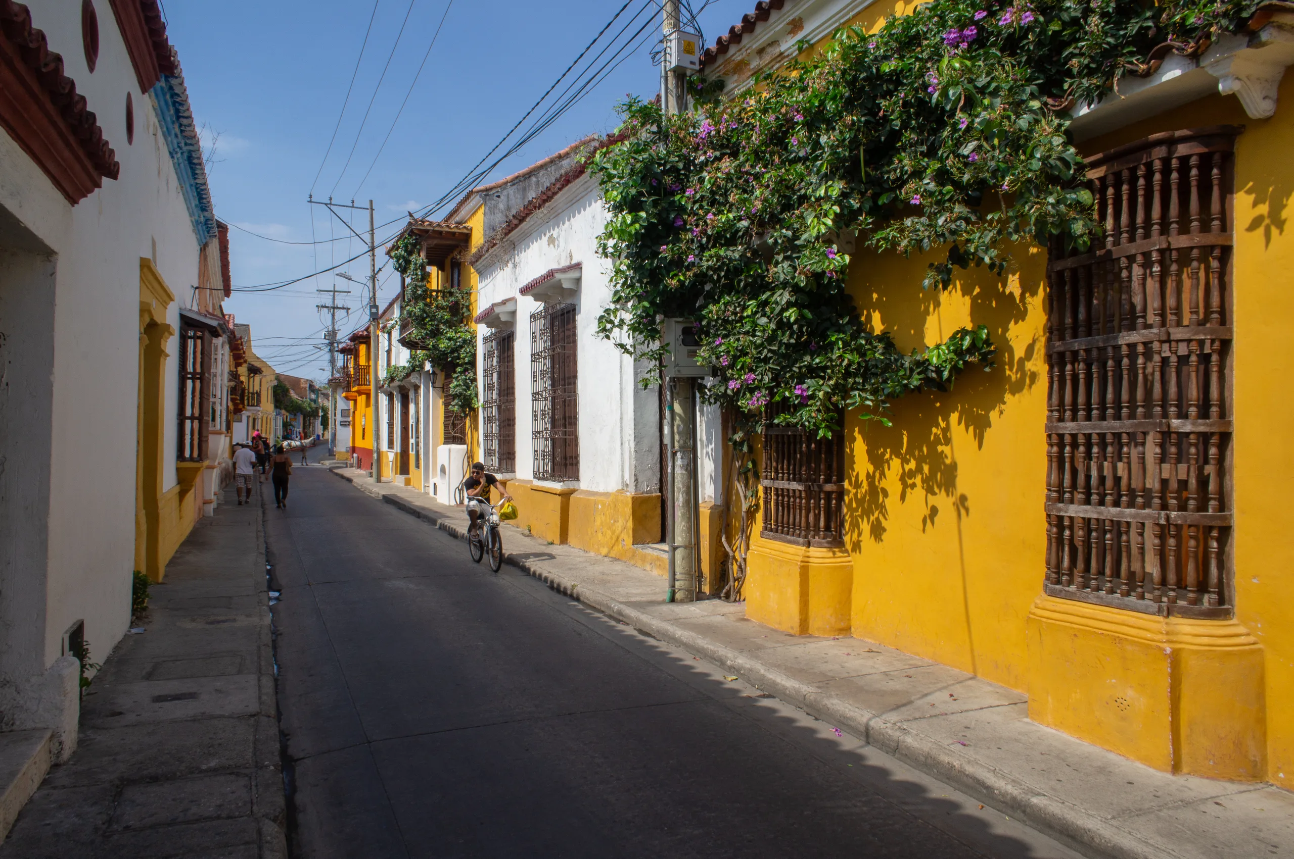 A quiet street of yellow and white houses with barred wooden windows and bougainvillea spilling over a wall, a man cycling past carrying a yellow bag.