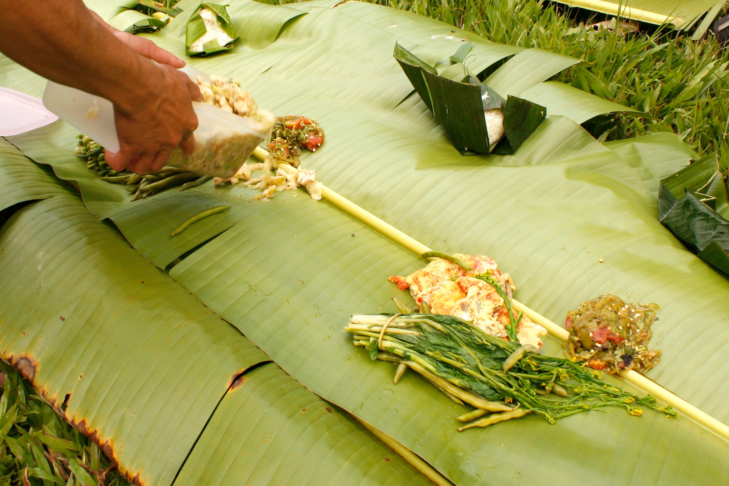 Hands laying out rice, greens and fish along a table of banana leaves spread over the forest floor