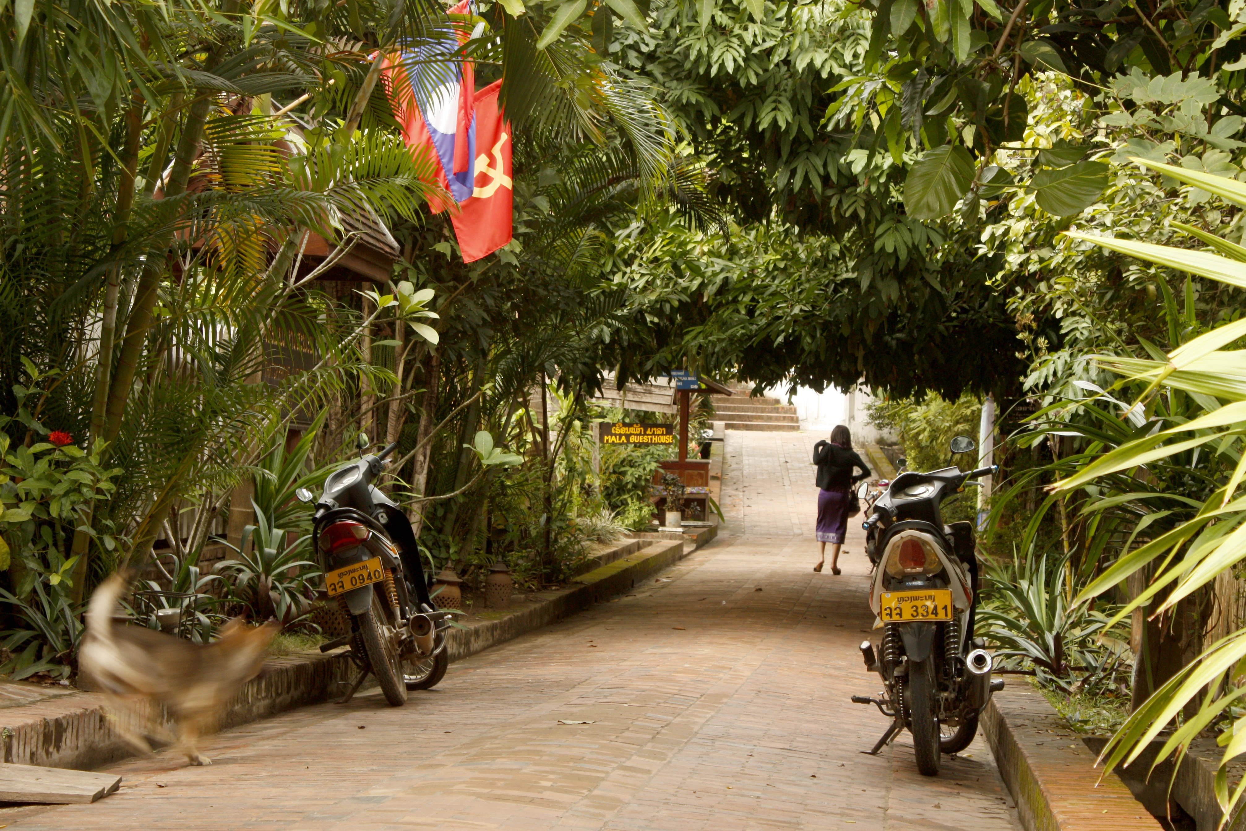 Luang Prabang je t'aime