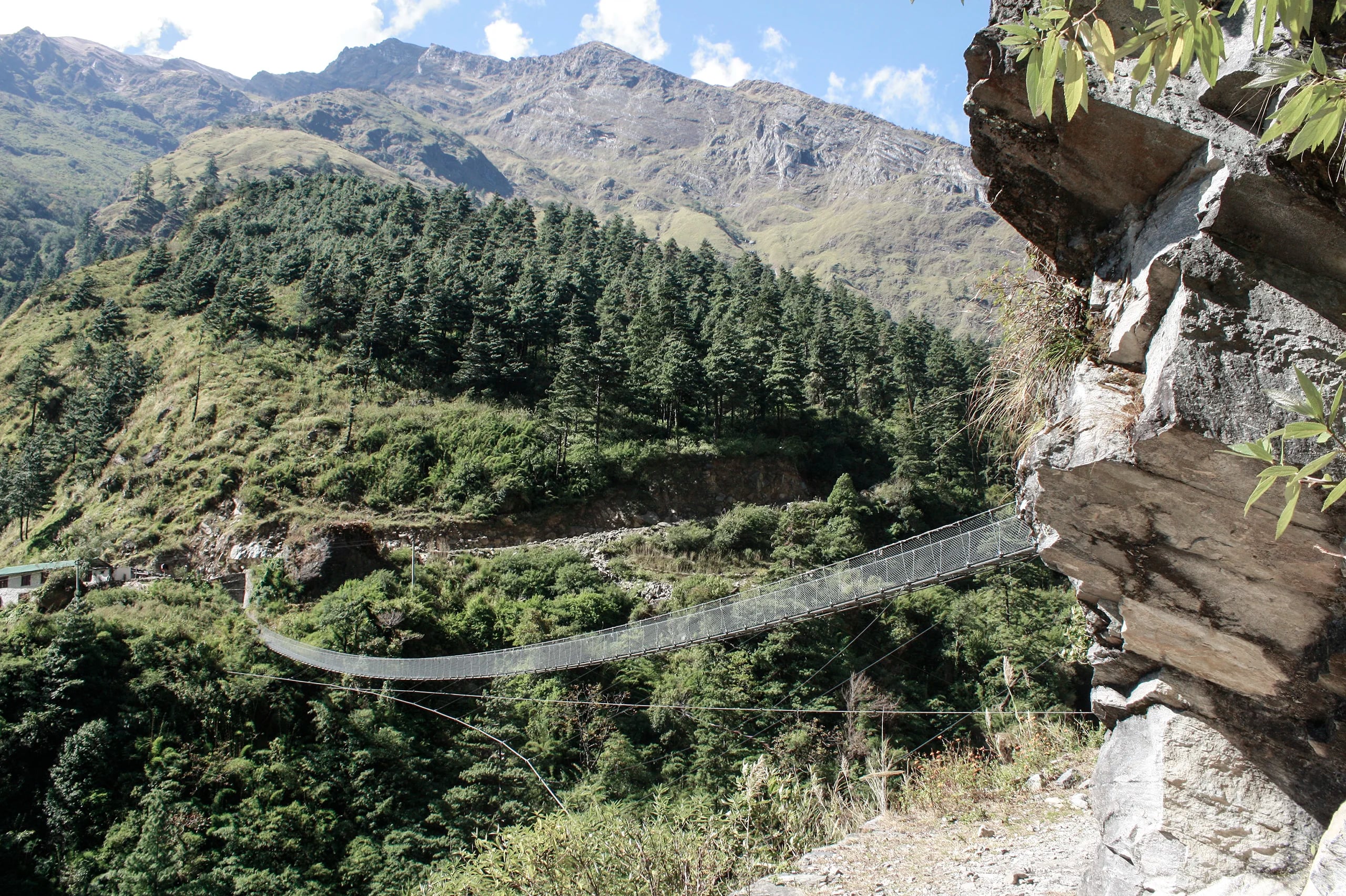 A long steel suspension footbridge strung across a forested gorge, anchored to a pale rock outcrop, with pine slopes and a bare grey ridge rising behind it.